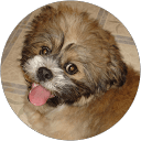Troy profile picture