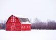 Snowy Fields