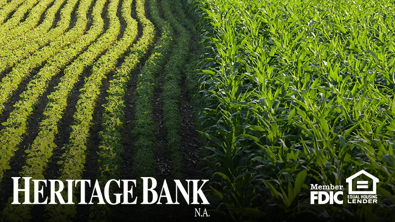 HBNA Blog- MN Crop Yield Forecast Crop field