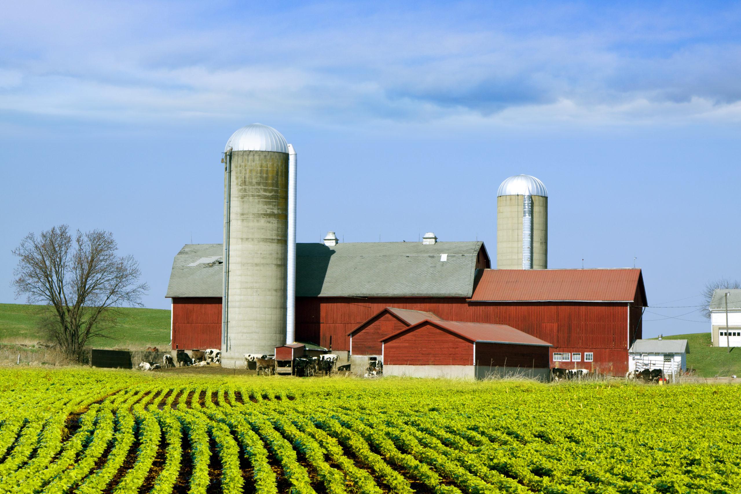 American Farm farming